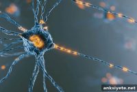 Nanosensor Distinguishes Autism from Intellectual Disability