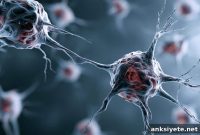 New Research Links Viral Infection to Parkinson’s Brain Damage
