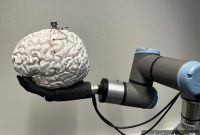 How Twin Technology Restores Vision and Sense of Touch