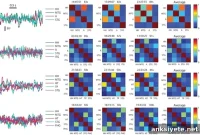 How Brain Connectivity Predicts Epilepsy Surgery Outcomes