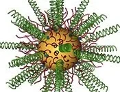 Scientists Silence Gene Driving Incurable Brain Cancer