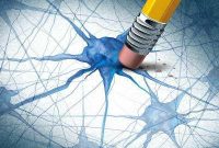 Gene Mutation Boosts Parkinson’s Risk From Pesticide Exposure