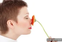 Why Everyone Smells Different: What Causes Unique Body Odor