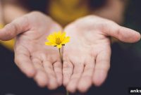 Positive Psychology Guide: Overview and Free PDF Download