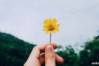15+ Free Positive Psychology PDF Worksheets to Download