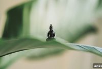 Consciousness in Psychology: 8 Key Theories and Examples