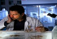 Henry Molaison’s Brain Reveals New Clues About Memory Formation