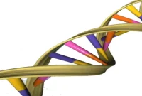 Study Finds New Genetic Mutations Driving Neurodegeneration