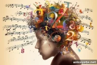New Study Reveals How Math Triggers Beauty in the Brain