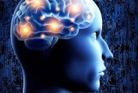 New Study Reveals How the Brain Enables Social Cognition