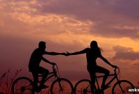 17 Couples and Relationship Counseling Courses to Explore