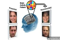 Scientists Reconstruct Faces From Brain Activity