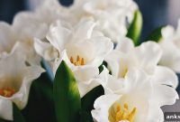 12 Therapy Techniques to Treat Complicated Grief