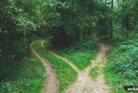 65+ Counseling Techniques to Use With Clients