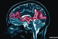 New Study Identifies Potential Cause of Epilepsy