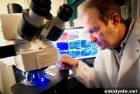Childhood Neurodegenerative Diseases Linked to DNA Repair Defect