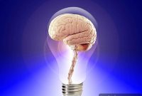 Researchers Unveil Framework to Advance Brain Injury Research