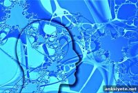 Researchers Reveal Breakthroughs in Epilepsy Treatment