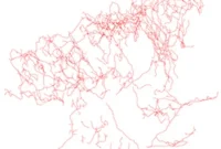 Alzheimer’s-Linked Brain Cell Pathways Mapped in Mice