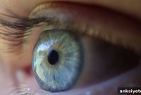 Could Larger Brains Improve Human Vision?