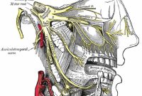 Why Common Treatments for Painful Facial Tics Can Be Costly