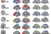 Combining Three Brain Imaging Techniques: Better Than One?