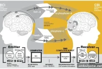 Human Study Shows Direct Brain-to-Brain Communication