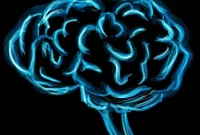 New Molecular Target Boosts Brain Plasticity, Study Finds