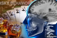 Brain Structure May Predict Risk-Taking Behavior