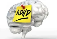 New Study Reveals Delayed Brain Connectivity in ADHD
