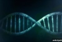 New Study Links Synapse Genes to Severe Childhood Epilepsy
