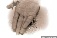 Why Things Feel Wet: How Your Brain Detects Wetness