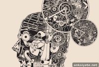 Scientists Discover Local Circadian Clock in the Brain
