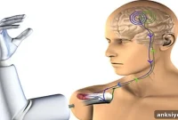 New Study Unlocks Natural Movement for Prosthetics