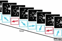 Older Brains May Overlearn: What It Means for Memory