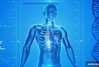 New Study Finds Sleep Deprivation Linked to Cellular Damage