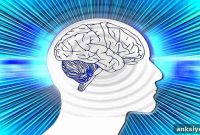 Electrical Stimulation Modulates Visual Attention Through Memory