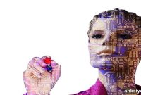 Computational Model Reveals How the Brain Learns Categories