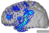 Decoding Spoken Sentences from Brain Signals