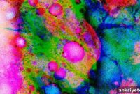 Common Protein Shields Brain Cells From Age-Related Damage