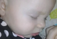How REM Sleep Builds Lasting Memory in the Developing Brain
