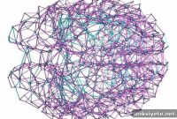 Human Connectome Reveals Nearly Optimal Network