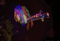 Opponent Activity in a New Neuron Drives Selective Motion Vision