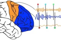 Breakthrough Treatments for Brain Rhythm Disorders