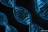 Single Gene Mutation Linked to Autism Risk