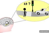How the Hippocampus Helps Resolve Conflict