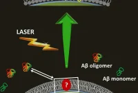 Shedding Light on Alzheimer’s Disease Causes and Treatments