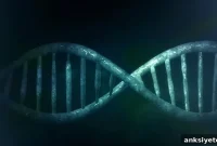 Gene Variant May Predict PTSD Severity