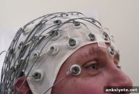 How Distinct Brain Circuits Track Decision Outcomes