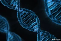 Scientists Discover Protein That Triggers Apoptosis